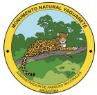 Panthera onca