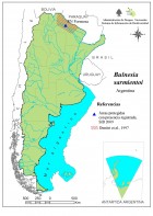 Gonopterodendron sarmientoi