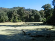 (c) Lizarraga Leonidas. Pozo Verde, Parque Nacional El Rey. 
