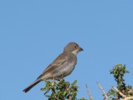 (c) Eduardo Ramilo. . 