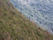 (c) Fernando Falke. . 