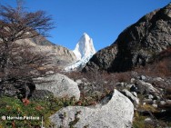 (c) Hernn Pastore. Monte Fitz Roy. 