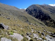 (c) Hernn Pastore. Pastizales de altura. <p>PN Campo de Los Alisos</p>