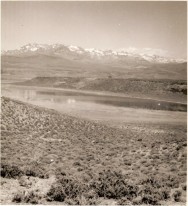(c) Dr. Jorge Navas. Gentileza Richard Sage. PN Laguna Blanca. Fotos de fines 1950 - comienzos 1960.. 
