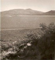 (c) Dr. Jorge Navas. Gentileza Richard Sage. PN Laguna Blanca. Fotos de fines 1950 - comienzos 1960.. 