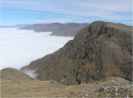 (c) Fernando Falke. Reserva Nacional El Nogalar de Los Toldos. 