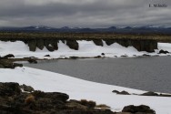 (c) Eduardo Militelo. Primavera en la laguna de los Petroglifos. 