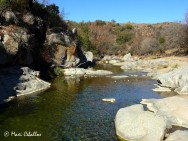 (c) Maximiliano Ceballos. . 