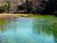 (c) Maximiliano Ceballos. . 