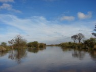 (c) Liliana Ciotek. R?o Luj?n en la Reserva Natural Otamendi. 