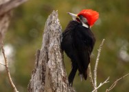 (c) Mart�n Lepez. Capilla del Monte - C�rdoba. 