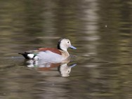 (c) Emilio Mart�n P�rez. La Plata - Buenos Aires. 