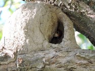 (c) Walter Bustamante. Dique La Falda - C�rdoba. 