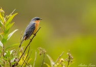 (c) Andres Teran. Cuesta del Obispo - Salta. 														