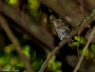 (c) Andres Teran. Colonia Carlos Pellegrini - Corrientes. 														