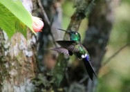 (c) G.C.Mueller. R.N. El Nogalar dd Los Toldos. 														Y