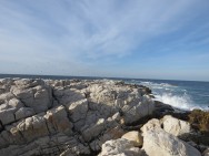 (c) Leonardo Juber. Parque Nacional Islote Lobos. 