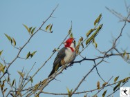 (c) Lorena Sepúlveda Palma. . 																												