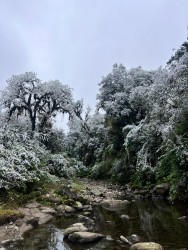 (c) Pereyra Nicols. Nevada junio 2025 en Centro Operativo Santa Rosa, Campo de los Alisos, PN Aconquija. 														