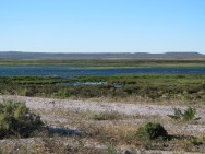 (c) Hern�n Pastore. PN Islote Lobos. 														