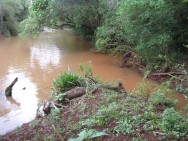 (c) Fabbio, Fernanda. . <p>Desembocadura del Arroyo Pesado en el Río San Antonio</p>