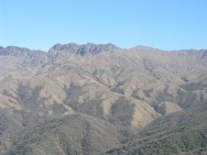 (c) Leonidas Liz�rraga. RN El Nogalar de los Toldos. <p>RN El Nogalar de los Toldos</p>