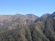 (c) Leonidas Liz�rraga. RN El Nogalar de los Toldos. <p>RN El Nogalar de los Toldos. Leonidas Liz&aacute;rraga. 01/01/2007</p>