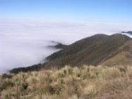 (c) Leonidas Liz�rraga. RN El Nogalar de los Toldos. <p>Camino al Cerro Bravo. RN El Nogalar de los Toldos. Leonidas Liz&aacute;rraga. 01/01/2007</p>