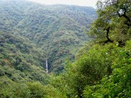 (c) Gisella Muller. Cascada RN El Nogalar de los Toldos, G. Muller. <p>Cascada, RN El Nogalar de los Toldos, G. Muller,</p>
