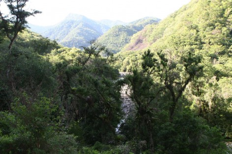 (c) Julio Monguillot. Ro Lipeo. PN Barit. <p>Río Lipeo. PN Baritú</p>