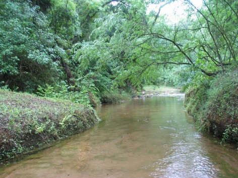 (c) Lizarraga Leonidas. Arroyo Los Puestos, Límite del Parque nacional El Rey. 														