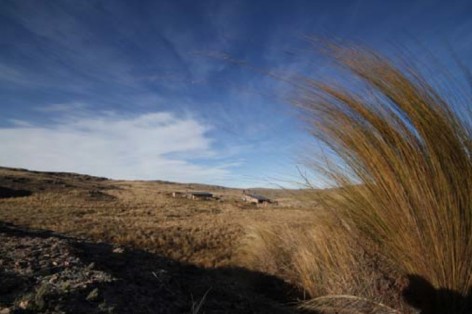 (c) Ricardo P�rez. PN Quebrada del Condorito. 