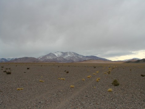 (c) Ana Julia Sandobal. El Camino PN San Guillermo. 