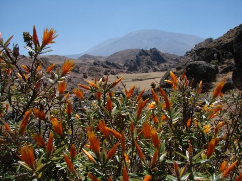 (c) Mara Elena Snchez. Valle Encantado. Parque Nacional Los Cardones. 