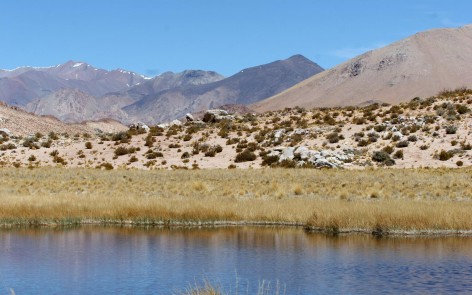 (c) Julio Monguillot. Parque Nacional San Guillermo. 