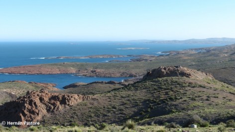 (c) Hernn Pastore. Parque Interjurisdiccional Marino-Costero Patagonia Austral. 