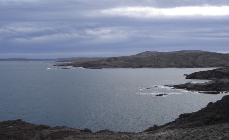 (c) Archivo Parque Interjurisdiccional Marino Costero Patagonia Austral. . 