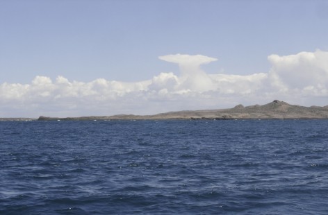 (c) Archivo Parque Interjurisdiccional Marino Costero Patagonia Austral. . 