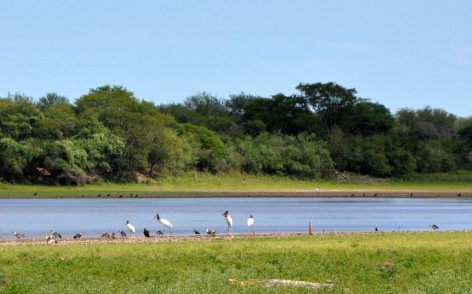 (c) Julio Monguillot. Laguna del Parque Nacional El Impenetrable. 
