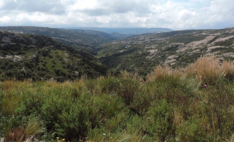 (c) Fernanda Fabbio. Quebrada San Miguel. 