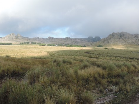 (c) Fernanda Fabbio. Seccional La Trinidad. 