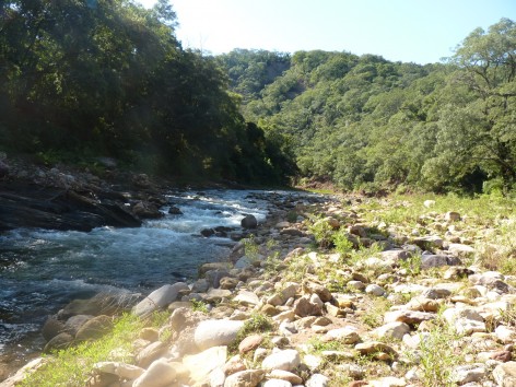 (c) Cecilia Moyano. Arroyo Las Tortugas. RN Pizarro. 