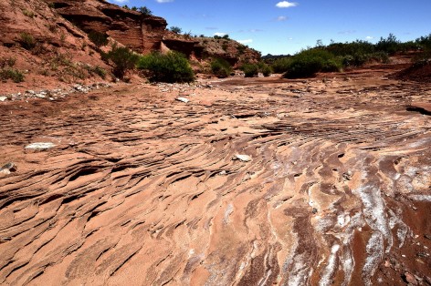 (c) Maximiliano Ceballos. Potrero de la Aguada. 