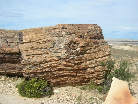 (c) Anah� P�rez. . 