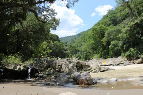 (c) G.C. M�ller. R?o Lipeo. 