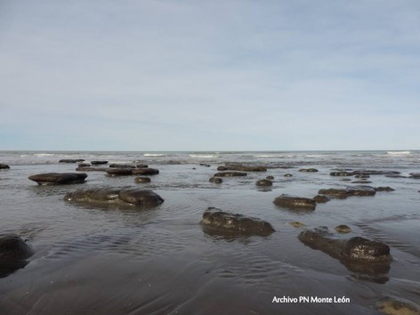 (c) Archivo PN Monte Le�n. Marea en PN Monte Le�n. 