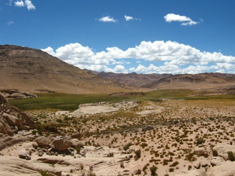 (c) Anabella Carp. . 