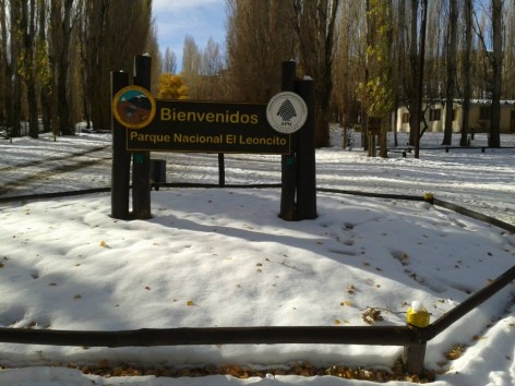 (c) Anabella Carp. . 