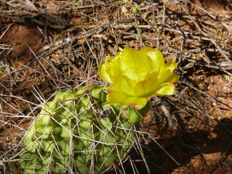 (c) Anabella Carp. . 