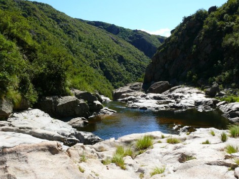 (c) Anabella Carp. . 